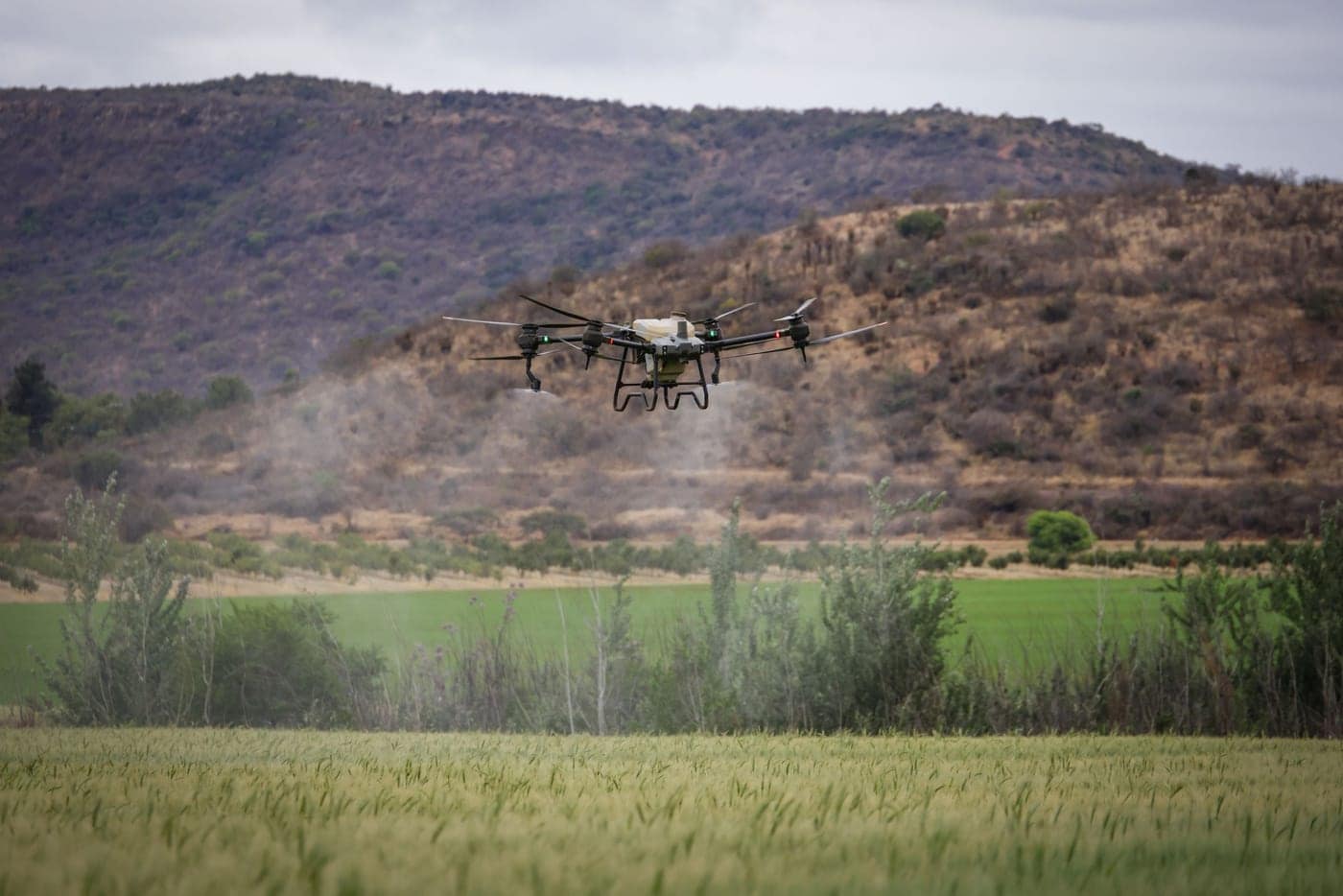 Drone agrícola sobrevoando a lavoura